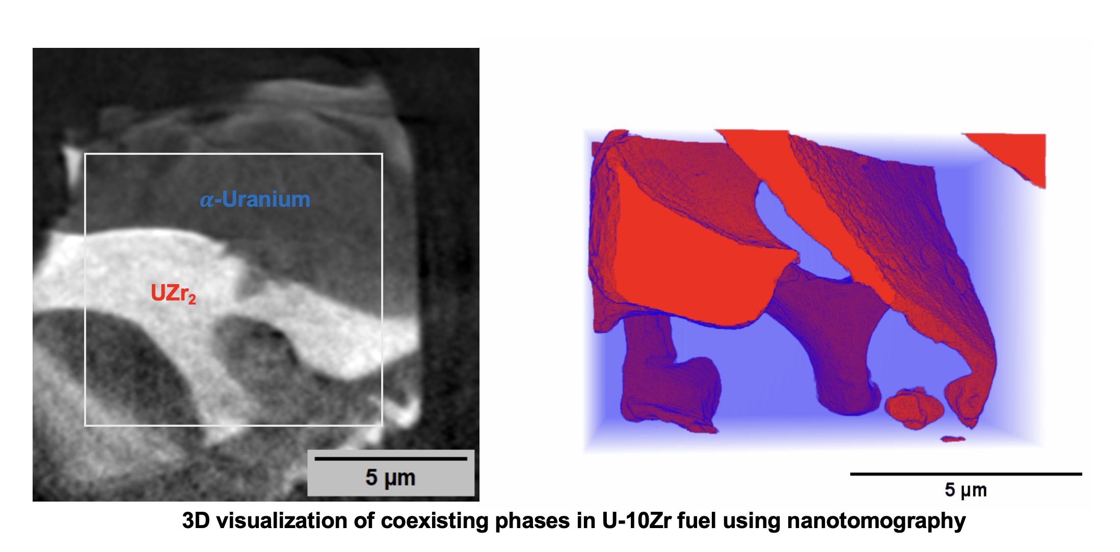 3D visualization of coexisting phases in U-10Zr fuel using nanotomography