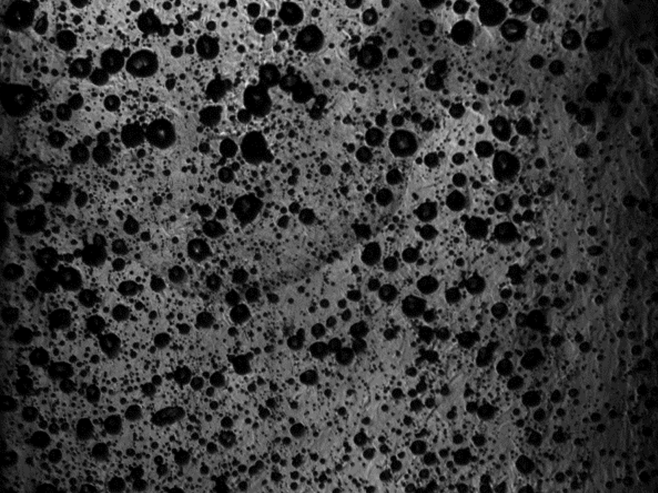 high_pressure_flow_boiling